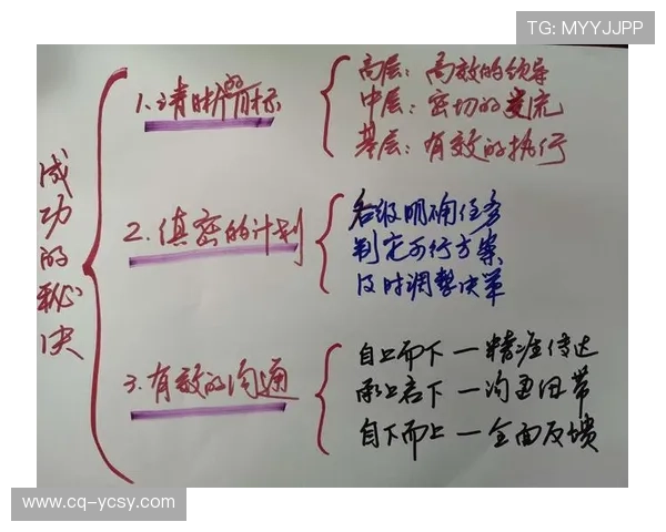专访黄军：深入探讨排球成功背后的秘诀与团队精神
